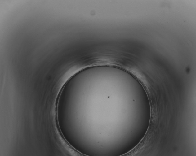 X0000098001431200804011822