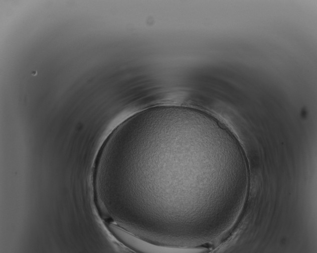 X0000098001434200804011822