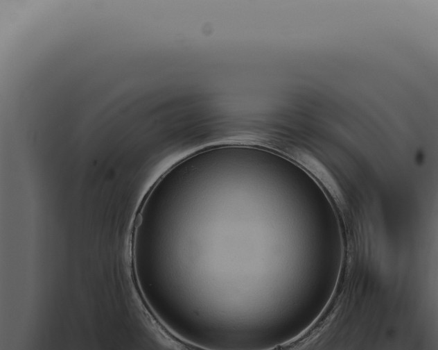 X0000098001436200804011822