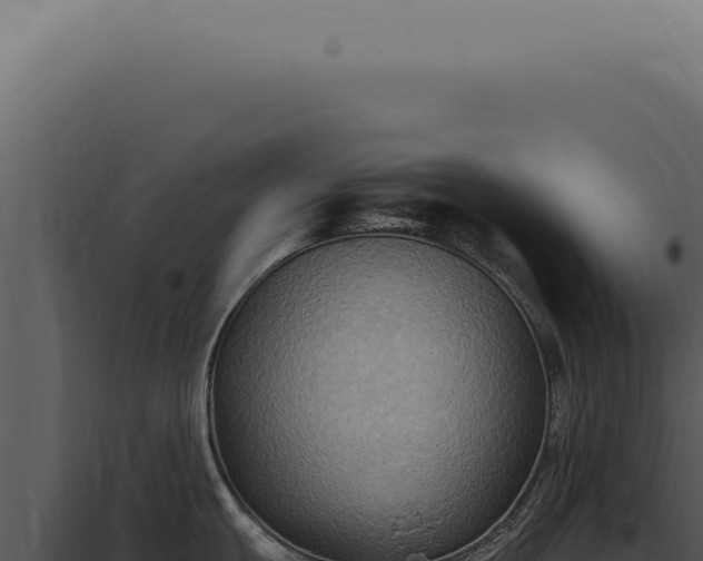 X0000098001439200804011822