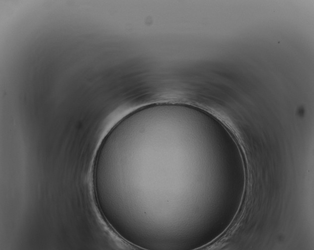 X0000098001440200804011822
