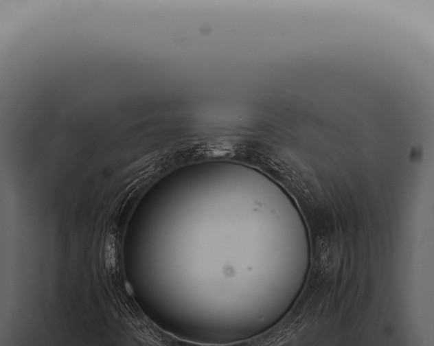 X0000098001442200804011821