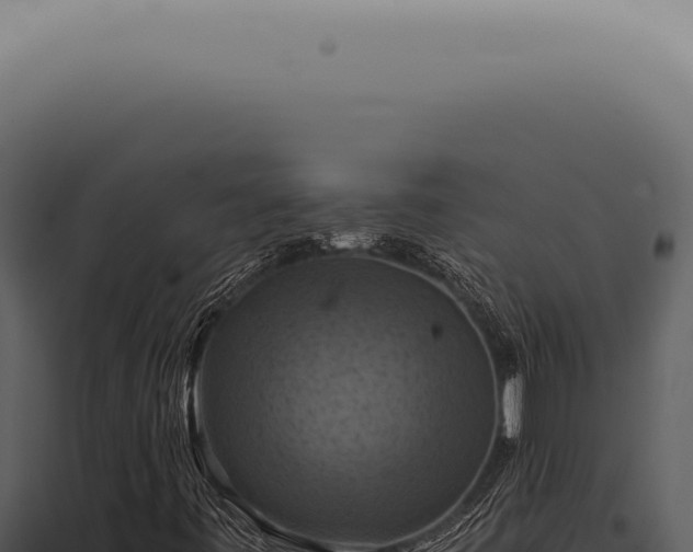 X0000098001443200804011821