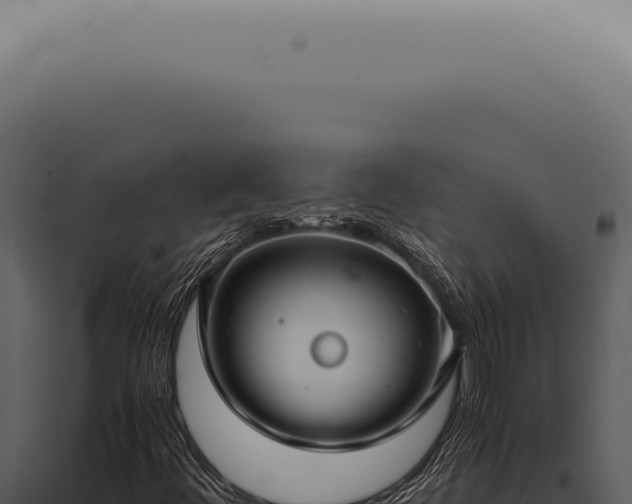 X0000098001444200804011821
