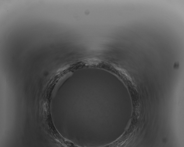 X0000098001445200804011821