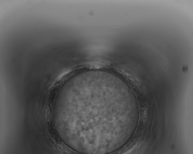 X0000098001446200804011821