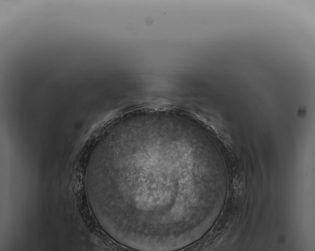 X0000098001447200804011821