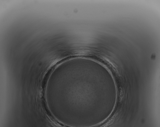 X0000098001449200804011821