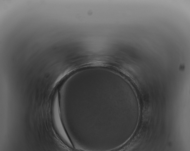 X0000098001450200804011821