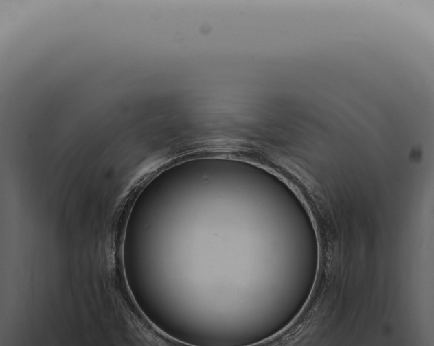 X0000098001451200804011821