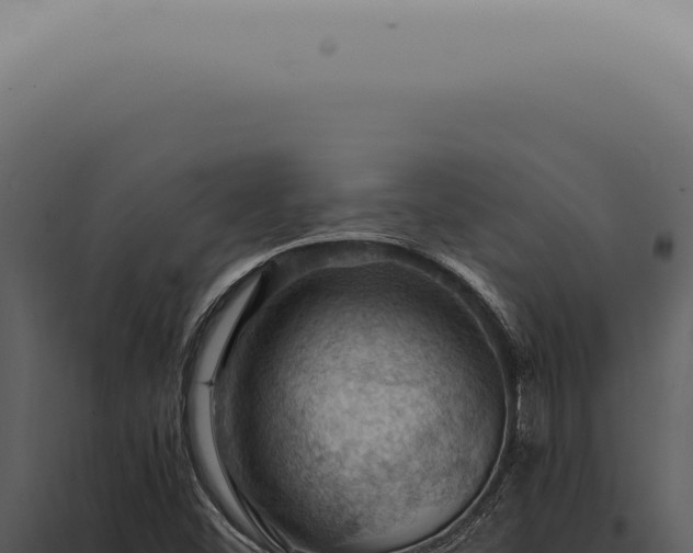 X0000098001452200804011821