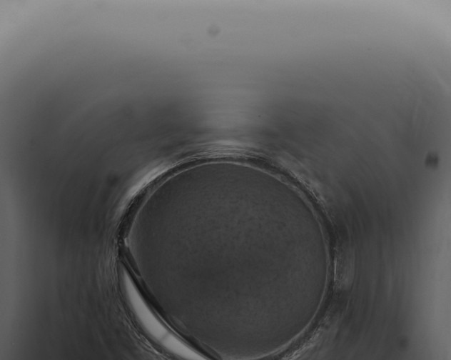 X0000098001453200804011821