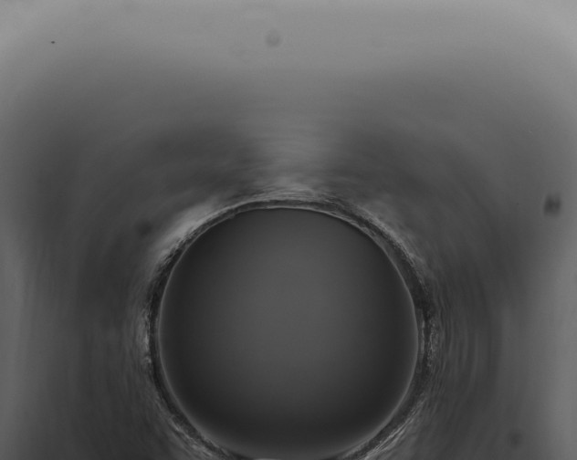 X0000098001455200804011821