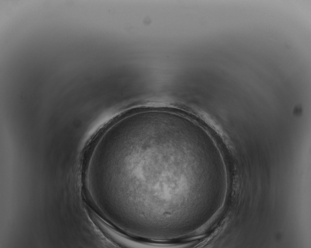 X0000098001456200804011821