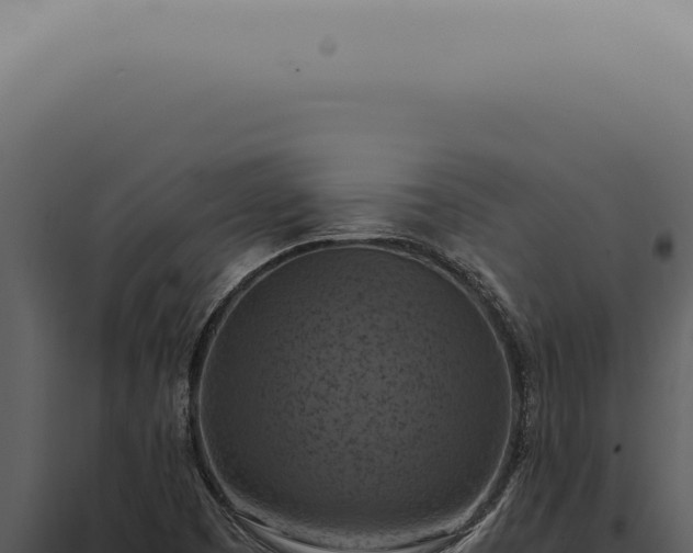 X0000098001457200804011821