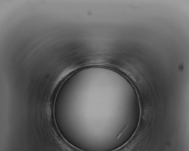 X0000098001458200804011821