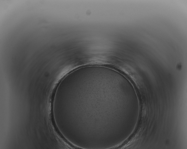 X0000098001459200804011821