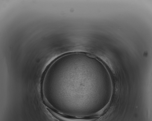 X0000098001460200804011821