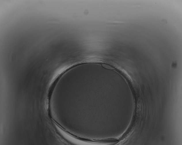 X0000098001461200804011821