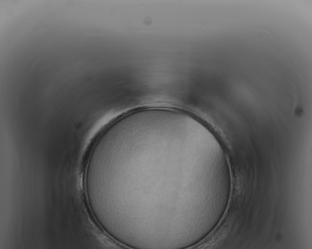 X0000098001462200804011821