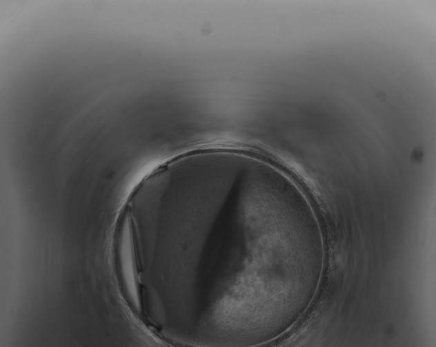 X0000098001463200804011821