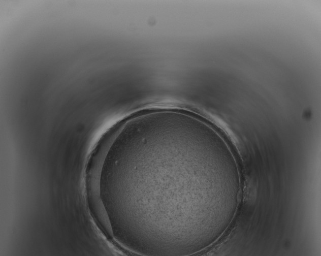 X0000098001464200804011821