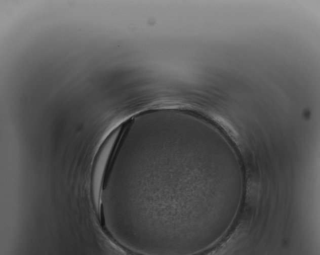 X0000098001465200804011821
