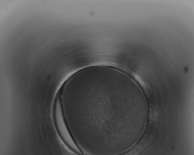 X0000098001468200804011821