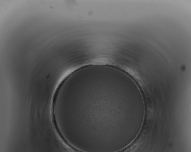 X0000098001469200804011821