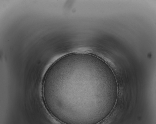 X0000098001470200804011821
