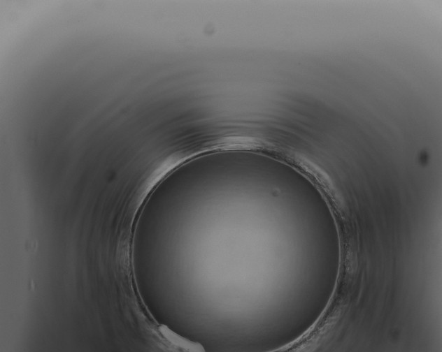 X0000098001473200804011821