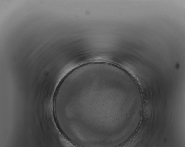 X0000098001474200804011821