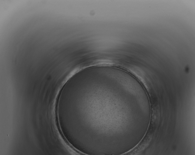 X0000098001475200804011821