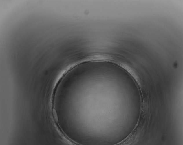 X0000098001477200804011821