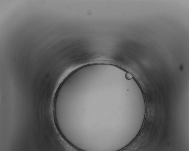 X0000098001478200804011821