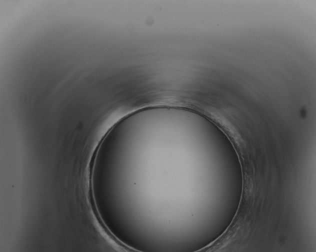 X0000098001479200804011821