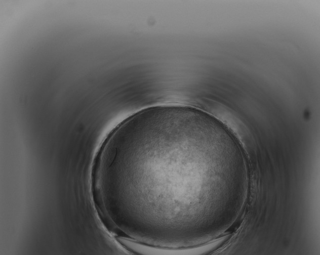 X0000098001480200804011821
