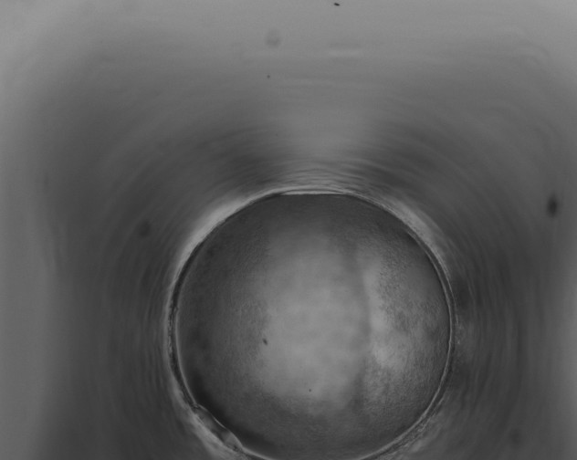 X0000098001485200804011820