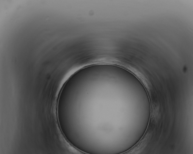 X0000098001486200804011820