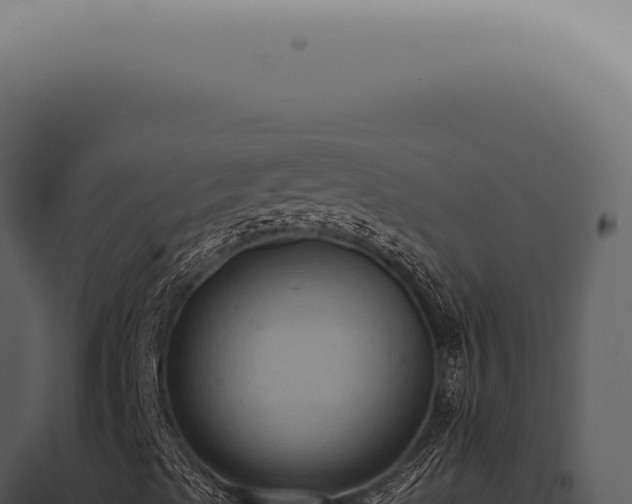 X0000098001489200804011820