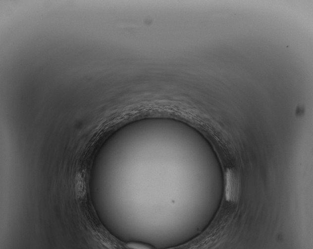 X0000098001491200804011820