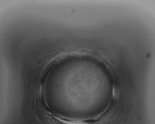 X0000098001492200804011820