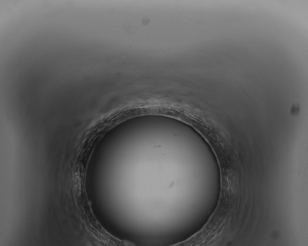 X0000098001493200804011820