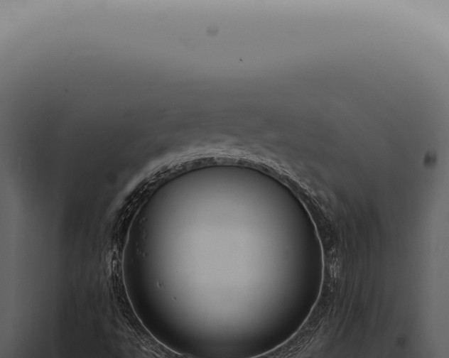 X0000098001495200804011820