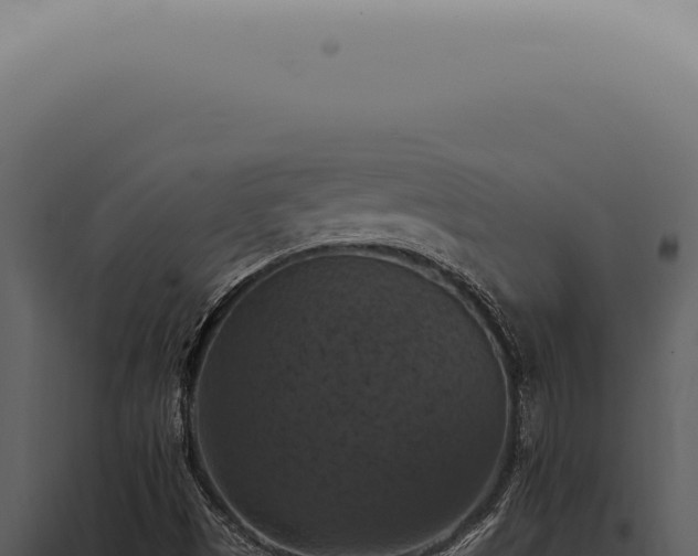 X0000098001497200804011820