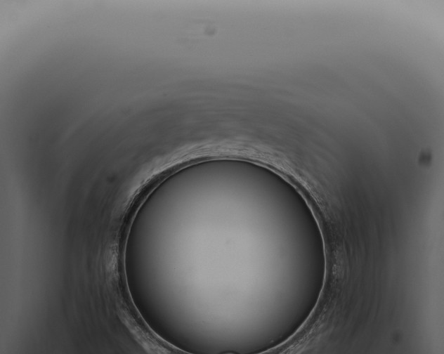 X0000098001499200804011820