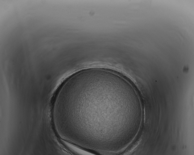 X0000098001501200804011820