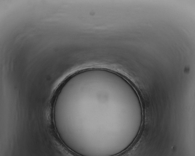 X0000098001502200804011820
