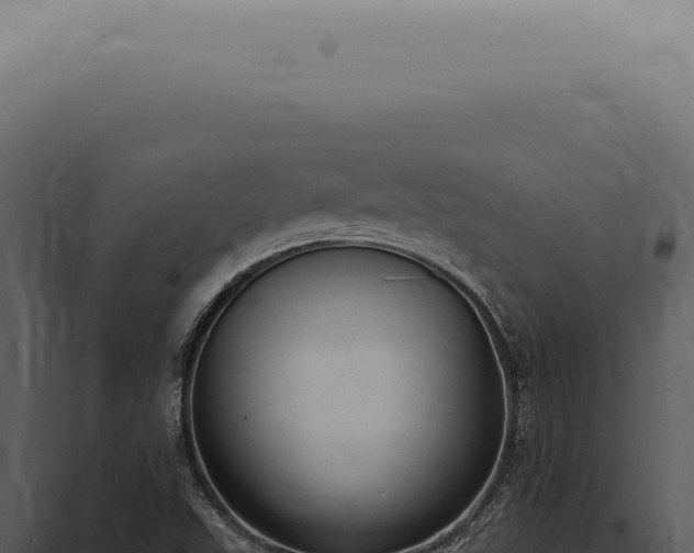 X0000098001503200804011820