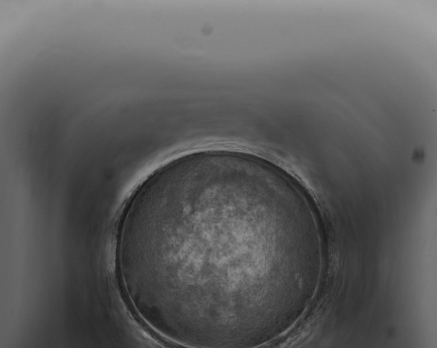 X0000098001504200804011820